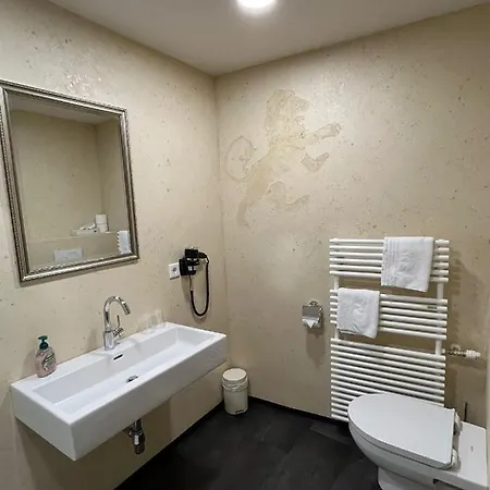 Goldener Löwe Hotel 3*