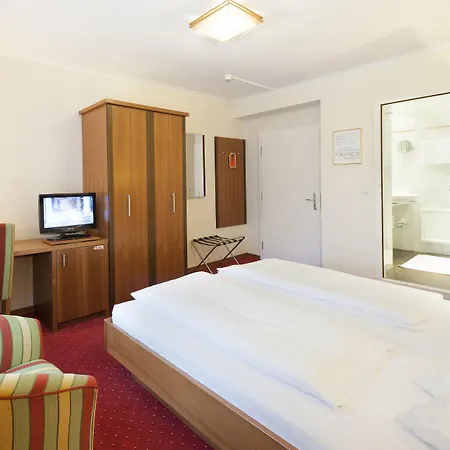 Goldener Loewe Отель 3*