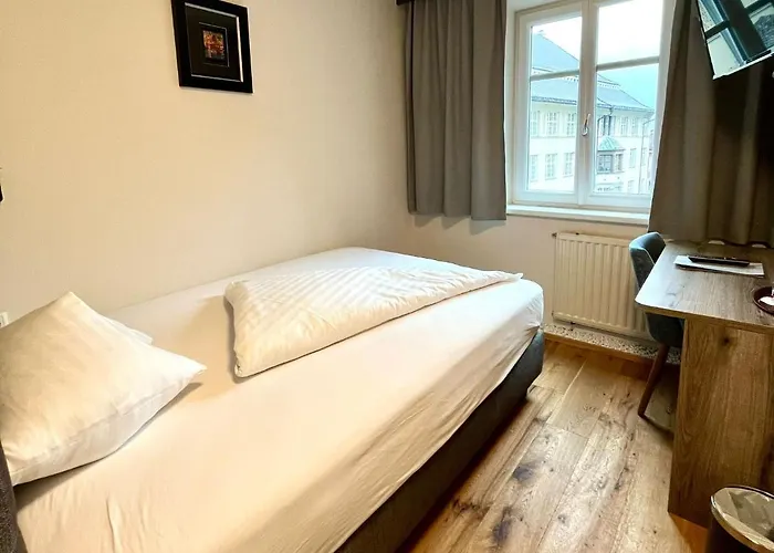 Отель Goldener Loewe 3*