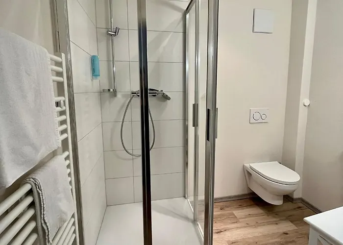 Отель Goldener Loewe 3*