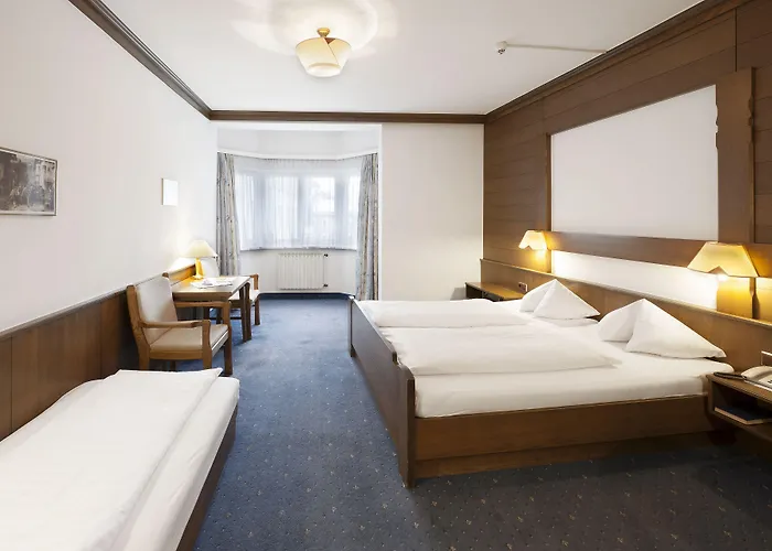 Отель Goldener Loewe 3*