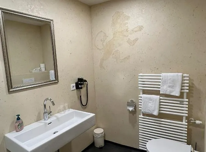 Goldener Loewe Ξενοδοχείο 3*