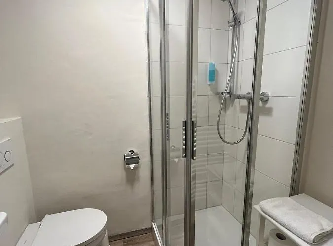 Ξενοδοχείο Goldener Loewe 3*