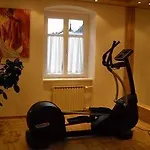 Hotel Goldener Lowe 3*