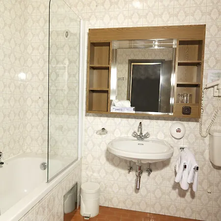 Goldener Loewe Otel 3*