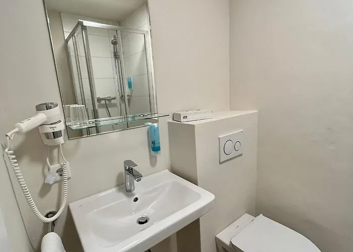 Goldener Loewe Hotel 3*