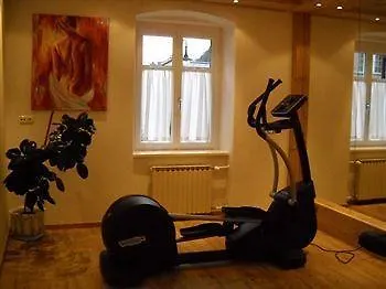 Hotel Goldener Loewe 3*